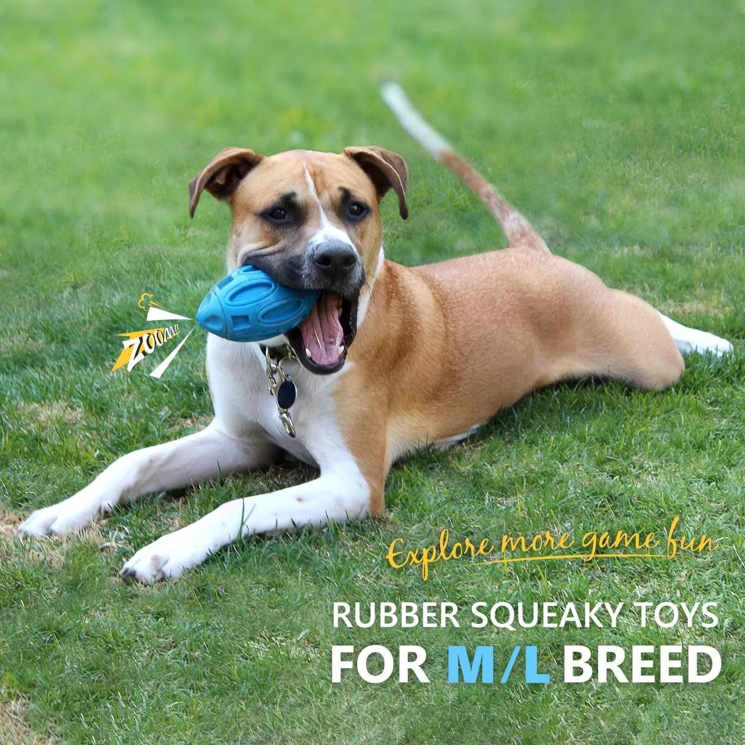 Natural rubber squeaky dog toy with surface grooves for aggressive chewers in blue, green, or orange