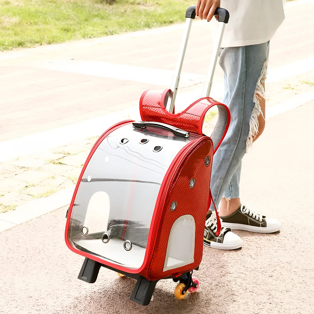 Transparent pet trolley shoulder bag with folding frame for small dogs and cats