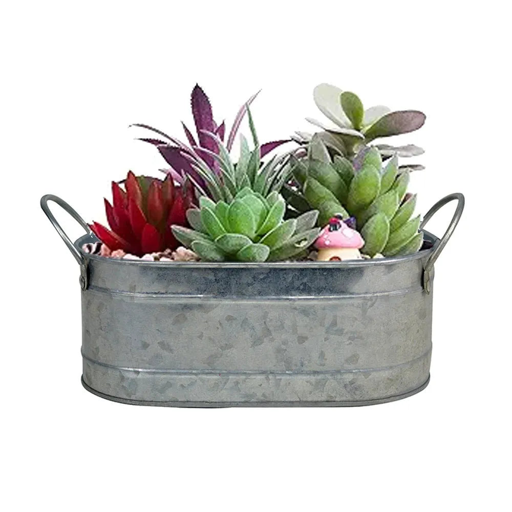 Iron sheet desktop flowerpot for succulents with corrosion-resistant metal construction