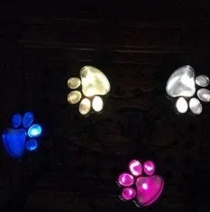 Black solar powered paw print garden lights with four LED lamps connected to a single stake, glowing on a garden path.