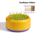 Hydroponic cat grass kit with blue, green and yellow growing cup options and seed packs