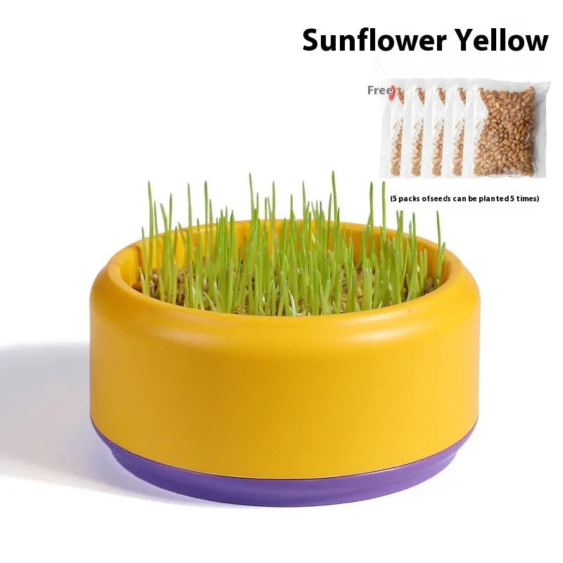 Hydroponic cat grass kit with blue, green and yellow growing cup options and seed packs