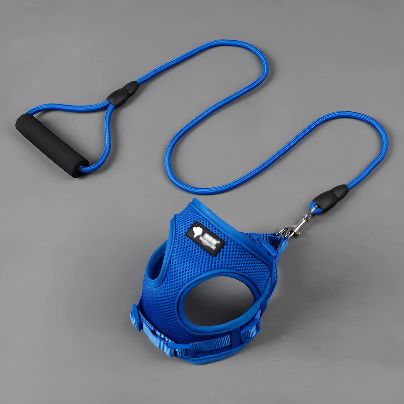 Blue dog leash with foam handle and matching adjustable collar for a small dog