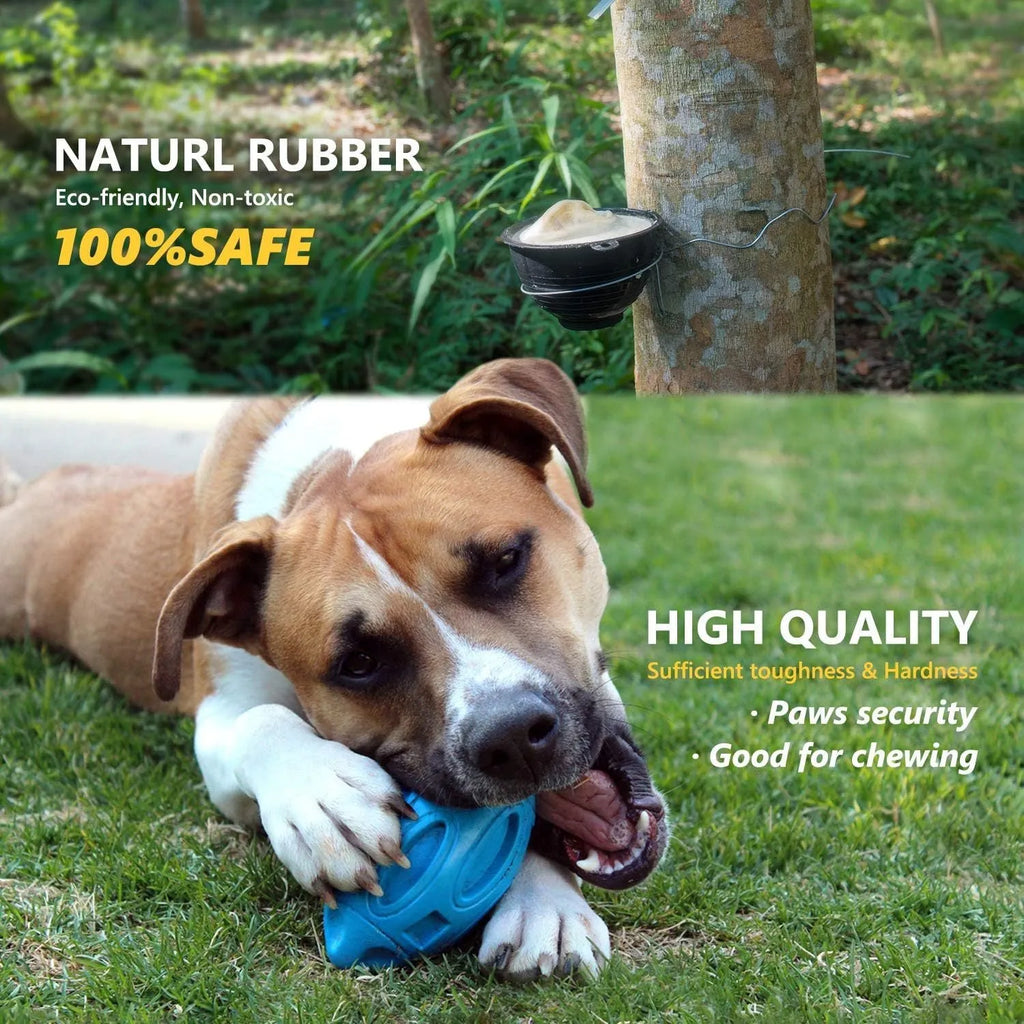 Natural rubber squeaky dog toy with surface grooves for aggressive chewers in blue, green, or orange