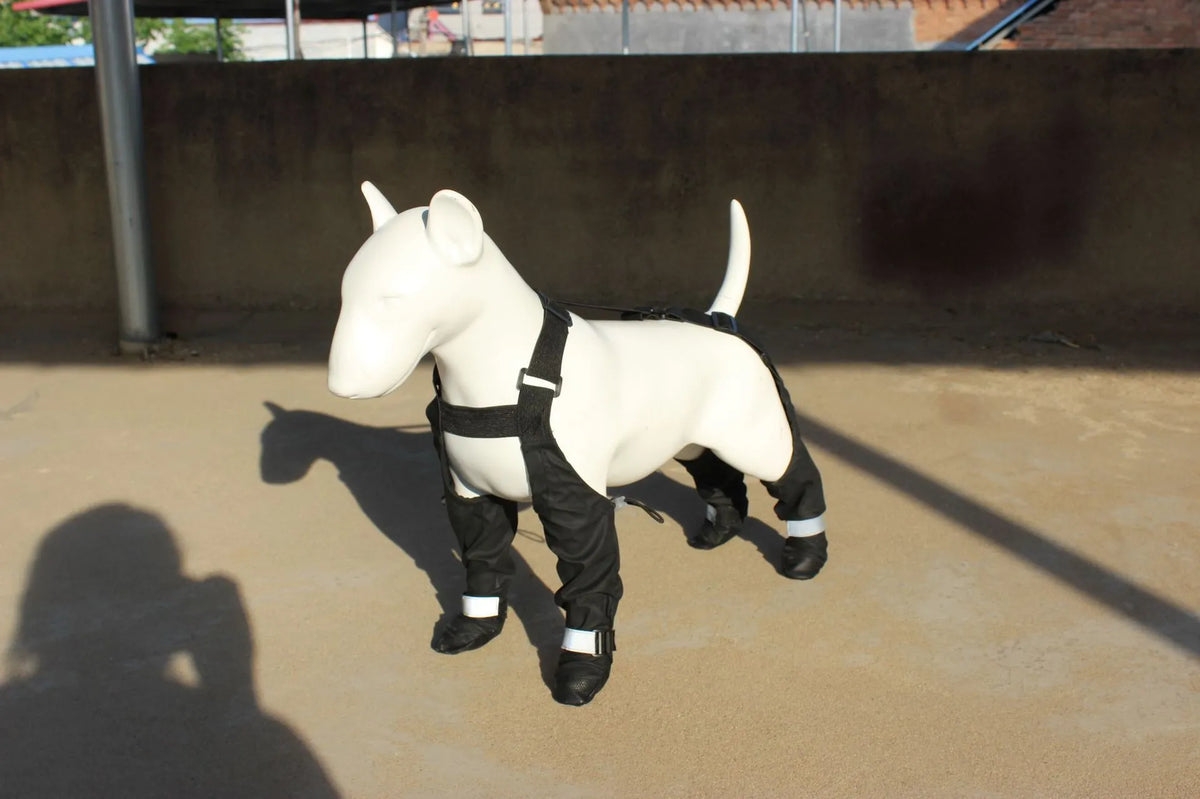 Black waterproof non-slip dog shoes with adjustable strap for paw protection