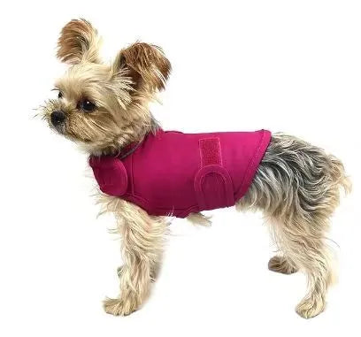 Dog wearing brown brocade cotton tank top for separation anxiety relief