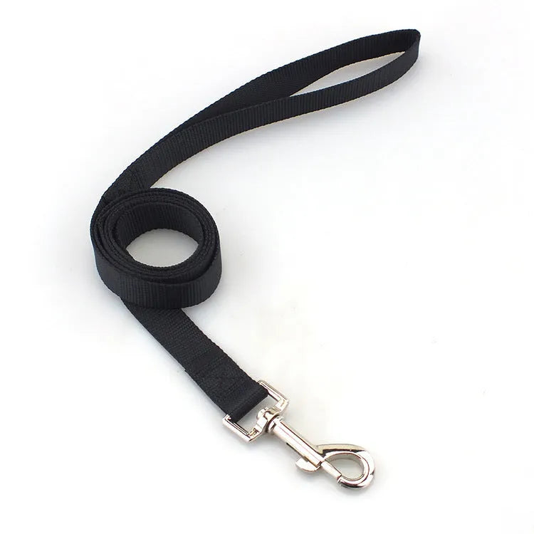 Solid colour nylon dog lead rope in blue, shown with a 120cm length and a hand holding it.