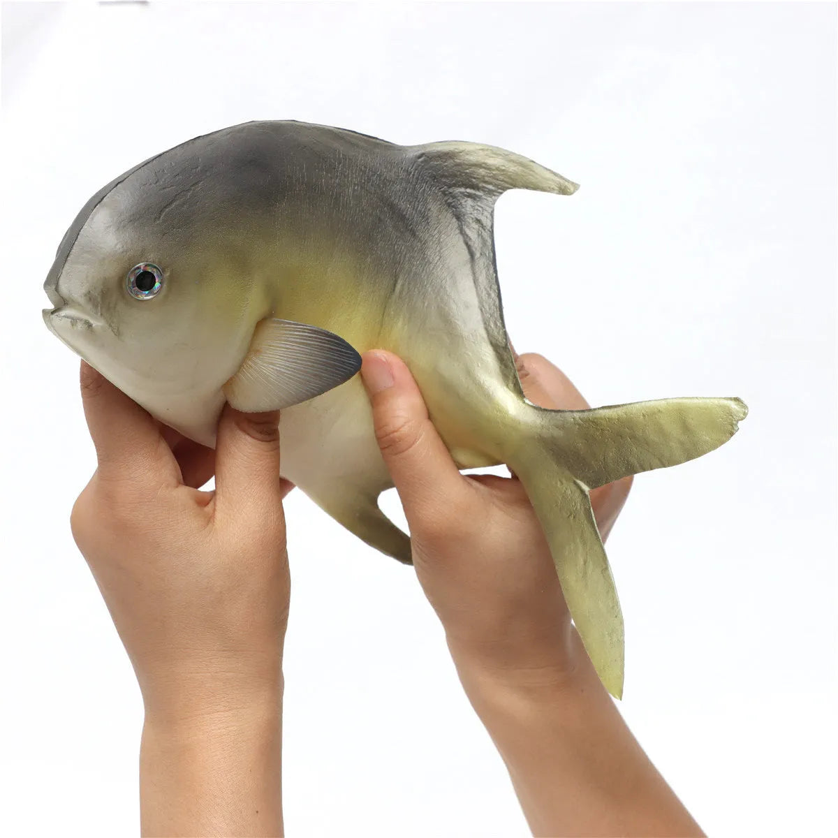 Set of three PU simulated fish models including yellow fin tuna, small tuna, and yellow croaker for display