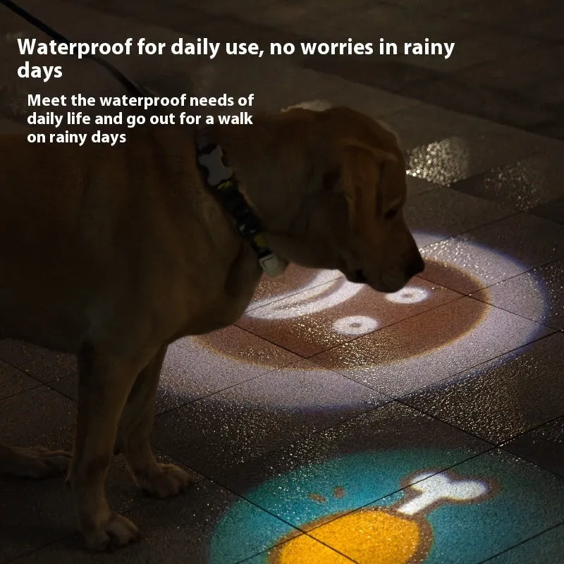 Pet luminous collar LED hanging lamp ring in four colour options with themed patterns for dogs