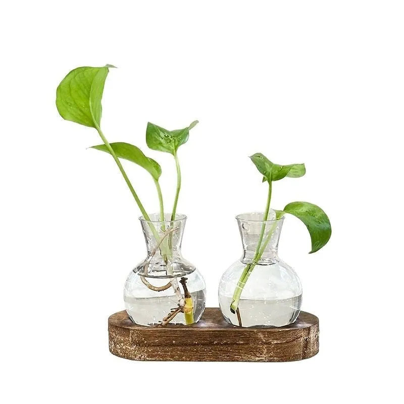 Wooden frame hydroponic vase with transparent glass containers in modern minimalist design