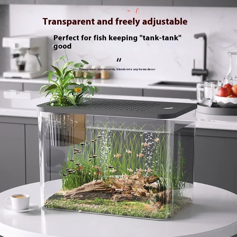 Medium size plastic betta fish tank with lid in black or white colour measuring 32x18.5x23cm