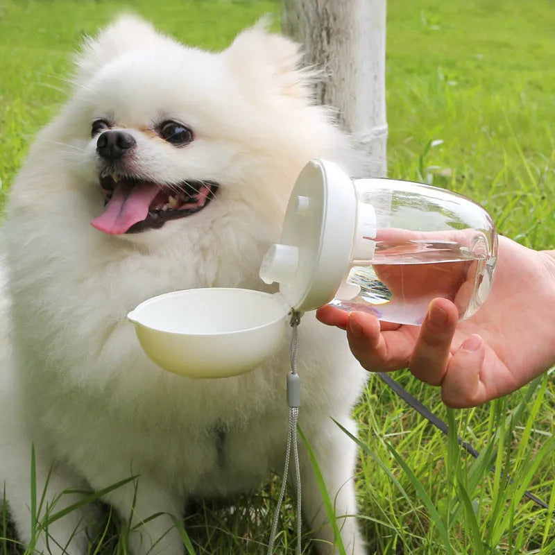 Foldable 300ml plastic pet drinking cup in mushroom design, shown for cats and dogs outdoors