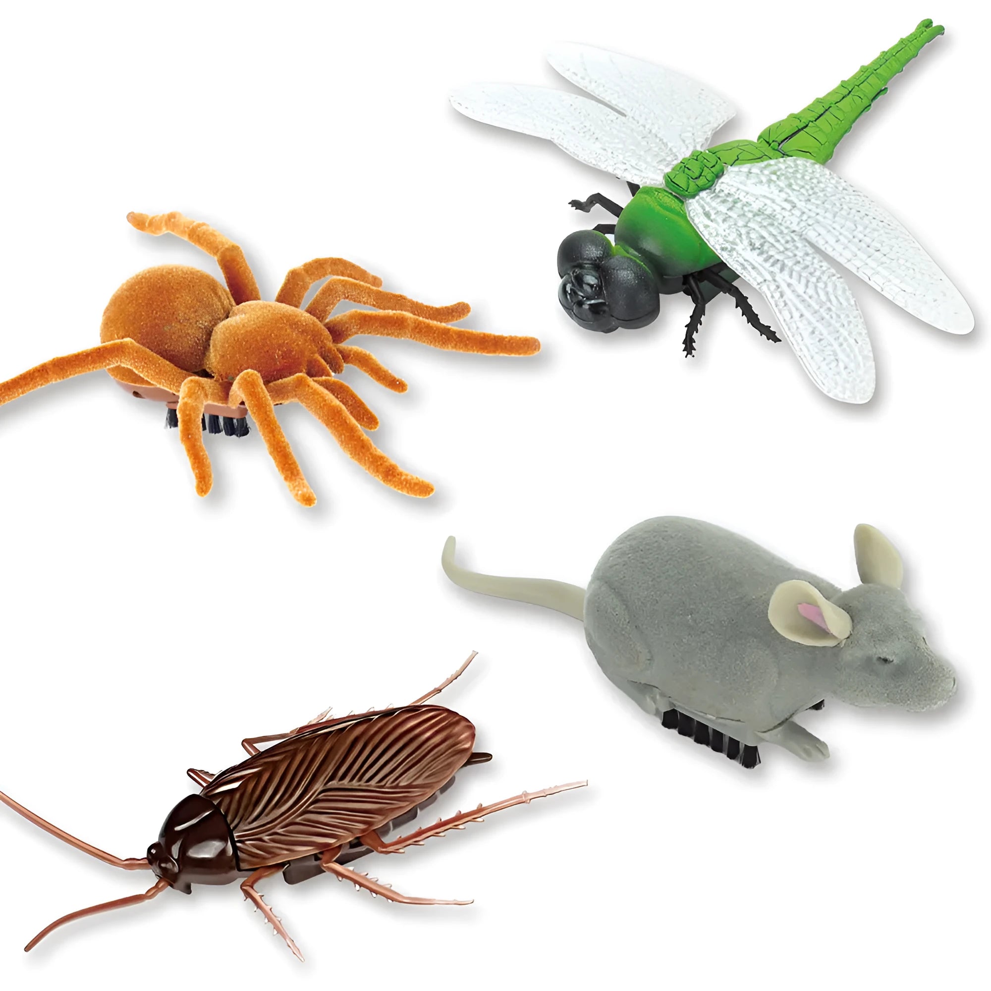 Electric vibration brush pet toy simulating crawling insect with motorised movement
