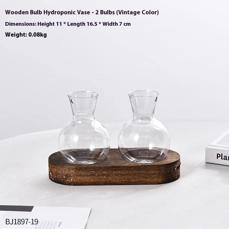 Wooden frame hydroponic vase with transparent glass containers in modern minimalist design