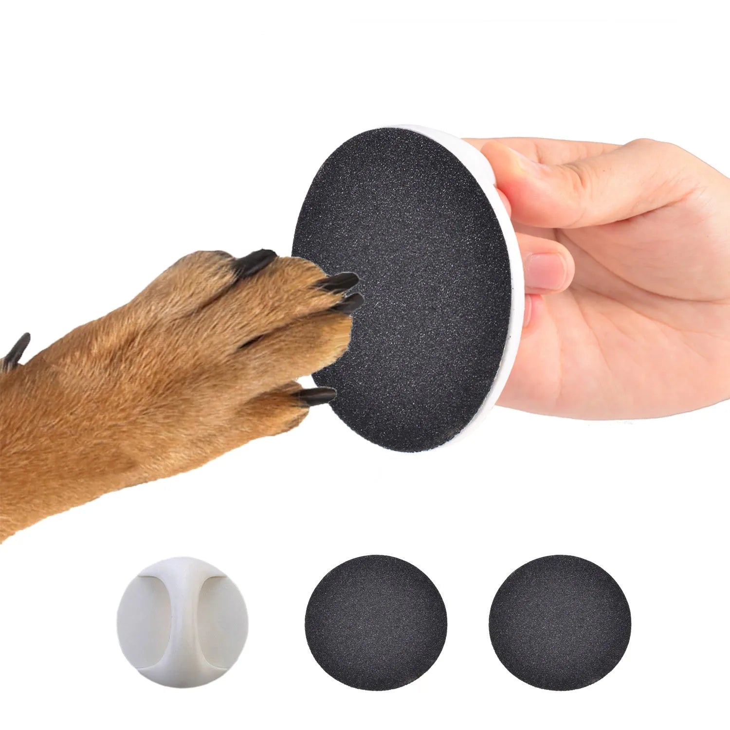 Square blue dog nail file scratch board with ergonomic handle on a white background.