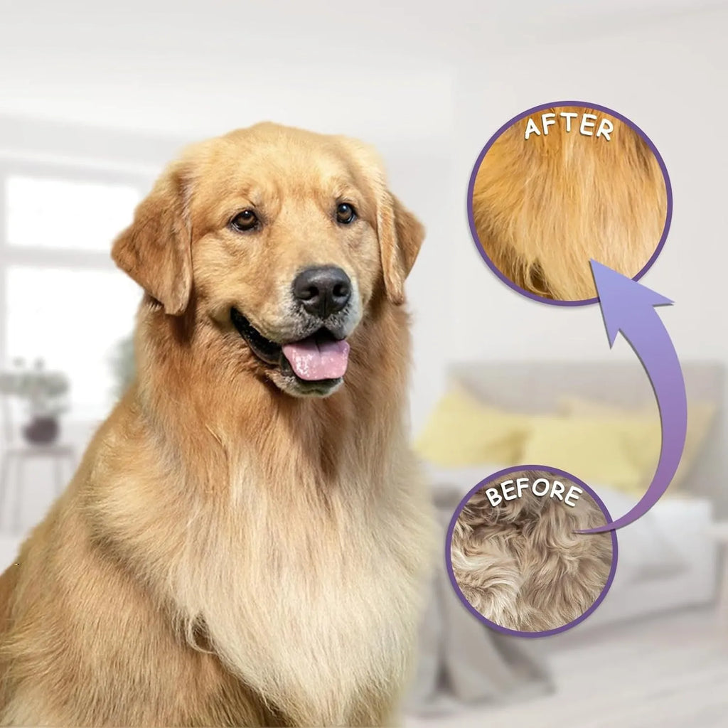 Purple pet detangling comb with stainless steel long and short teeth on a white background