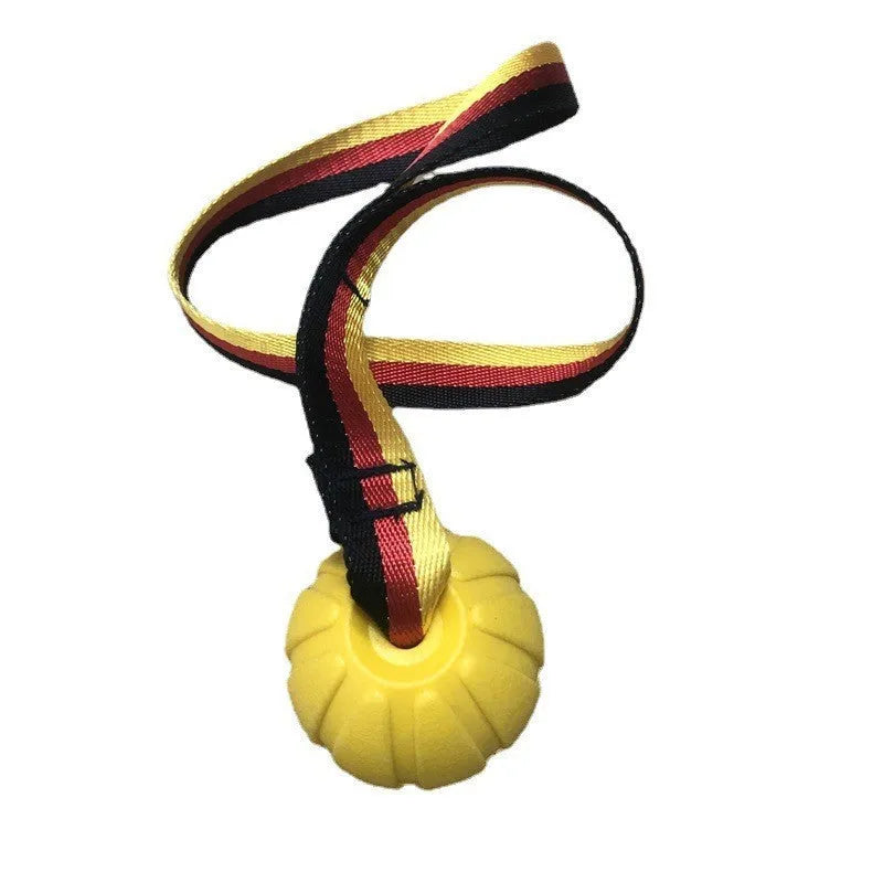 Floating EVA pet training ball with attached string in camouflage or yellow colour