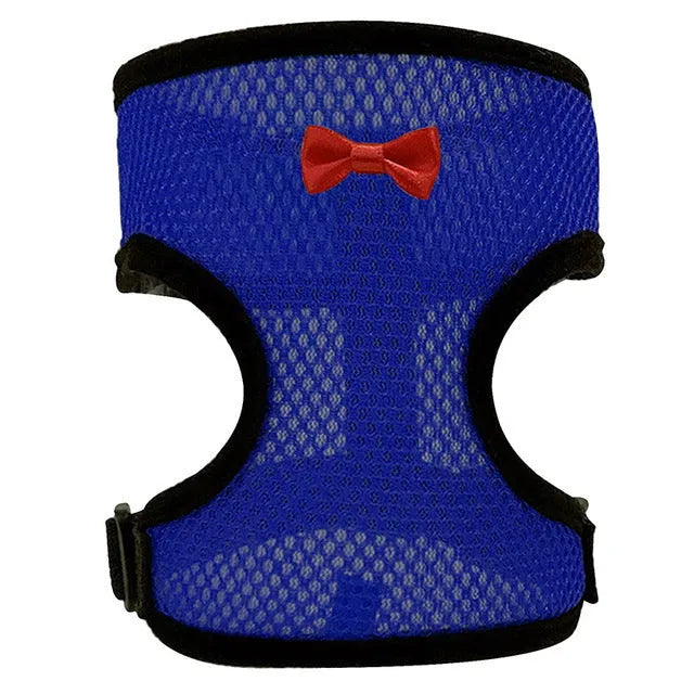 Poultry clothing set with chicken vest, matching collar and 110cm traction rope in multiple colour options