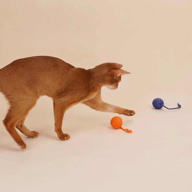 Multi-colour cat toy teaser stick set with bite-resistant catnip balls and a self-play kitten pet toy.