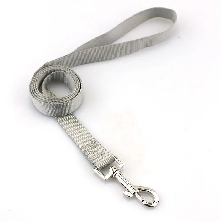 Solid colour nylon dog lead rope in blue, shown with a 120cm length and a hand holding it.