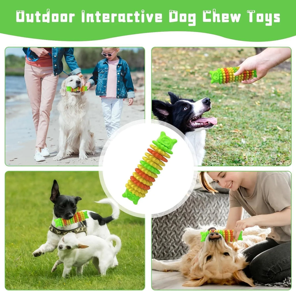Blue green pink rubber caterpillar dog chew toy 17cm long for aggressive chewers