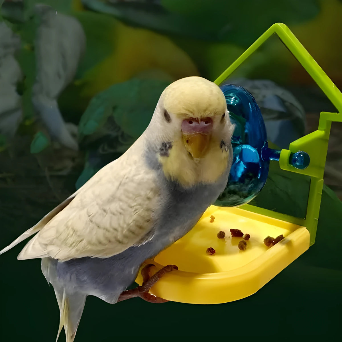 Bird foraging feeder toy in triangle or round shape, hanging cage accessory for parrot and hamster