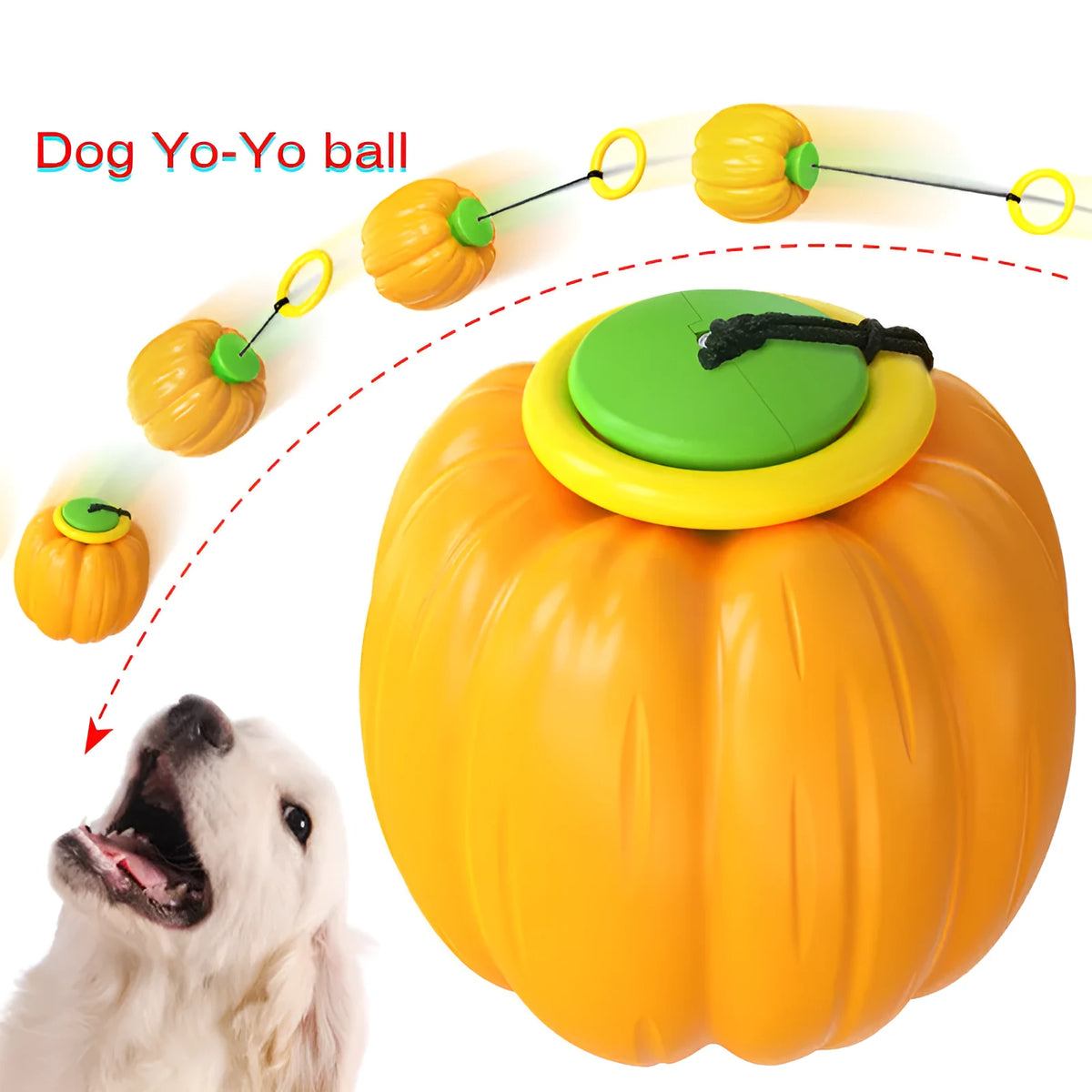 Pumpkin-shaped plastic dog ball with squeaker in green, orange and yellow colours for small dogs