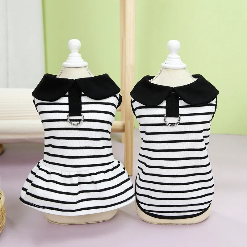 Pet wearing cotton striped t-shirt and skirt summer clothing set