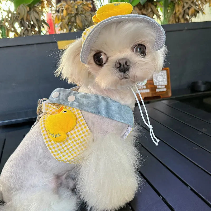Pet harness and leash set with wire rope pulling rope and matching cat clothes accessories in four size options