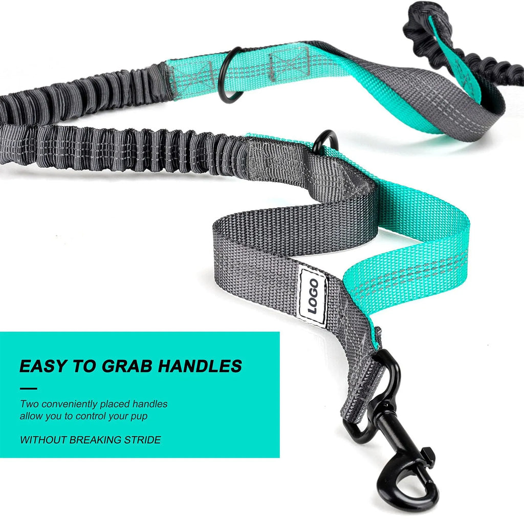 Black nylon dog walking waist bag and leash set for outdoor pet training activities