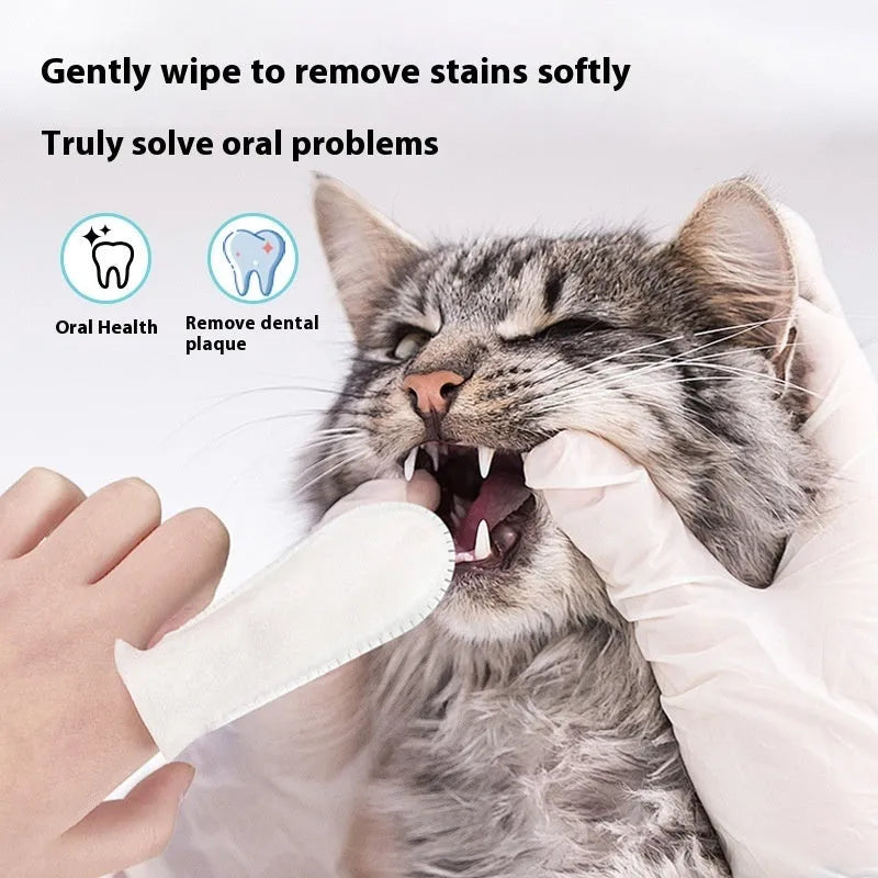 Pack of 50 pet dental cleaning finger stalls made from non-woven fabric for cat and dog oral hygiene