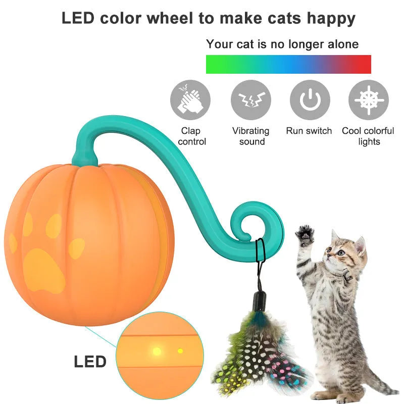 Electric glowing cat ball toy in watermelon and pumpkin designs for pet play.
