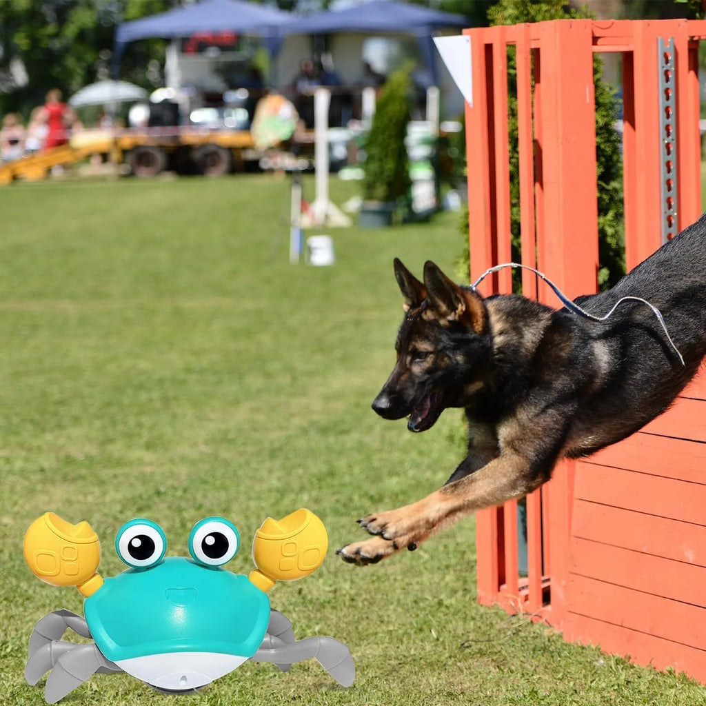Blue and red crawling crab dog toy with obstacle avoidance sensors showing sideways movement