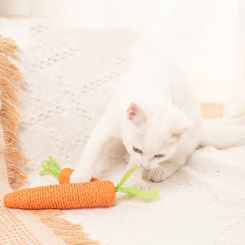 Assortment of cat toys including carrot bites, paper toys, ringing stones, sticks and tooth grinding sticks