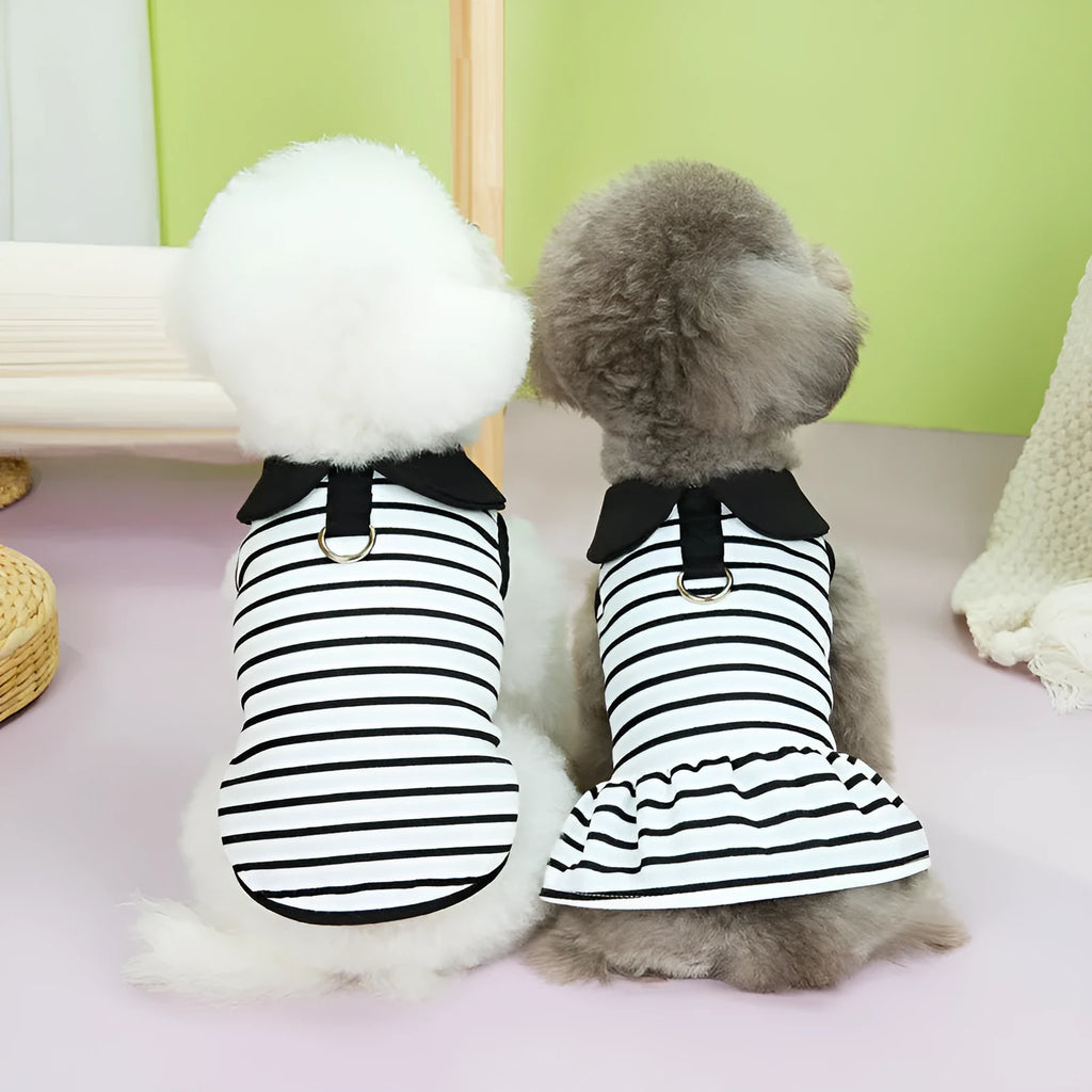 Pet wearing cotton striped t-shirt and skirt summer clothing set
