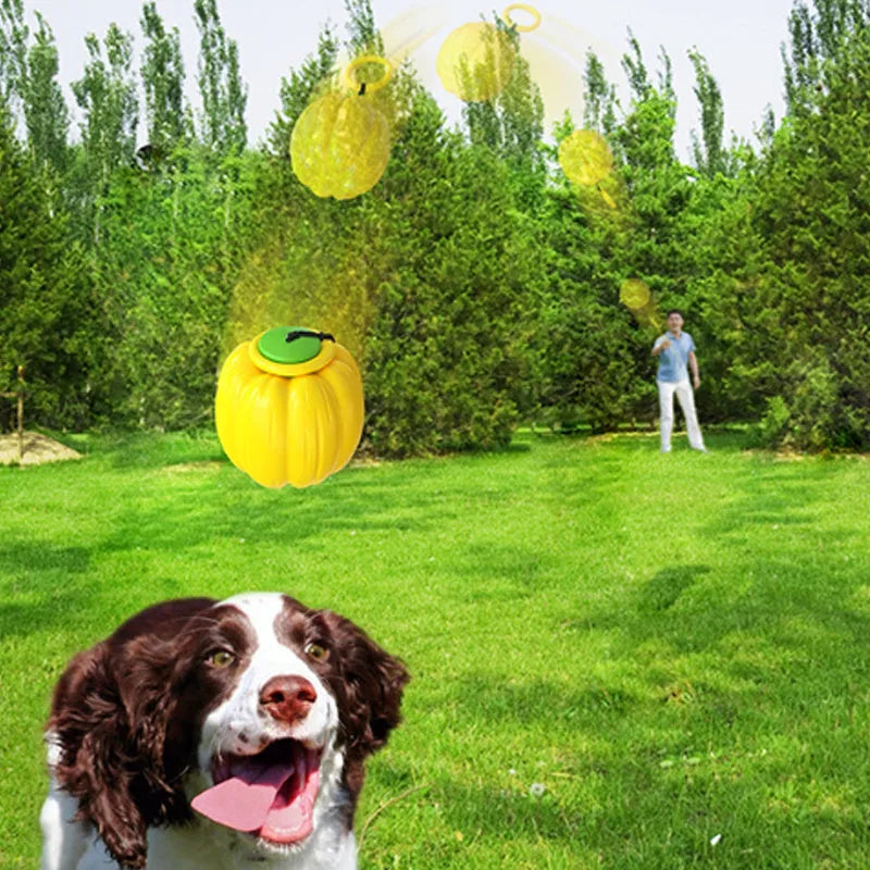 Pumpkin-shaped plastic dog ball with squeaker in green, orange and yellow colours for small dogs