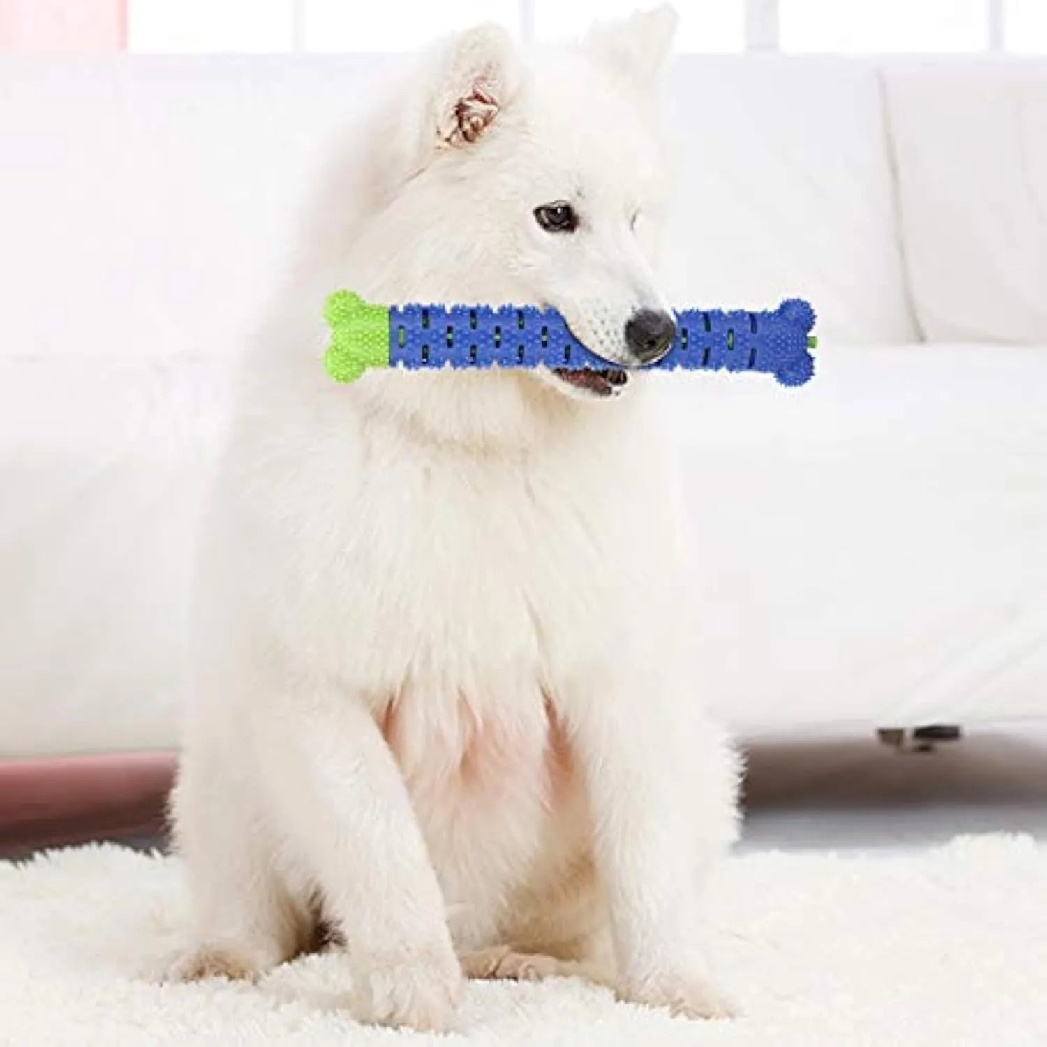 Blue silicone dog molar tooth cleaner stick with serrated brush head and treat crevice for dental care