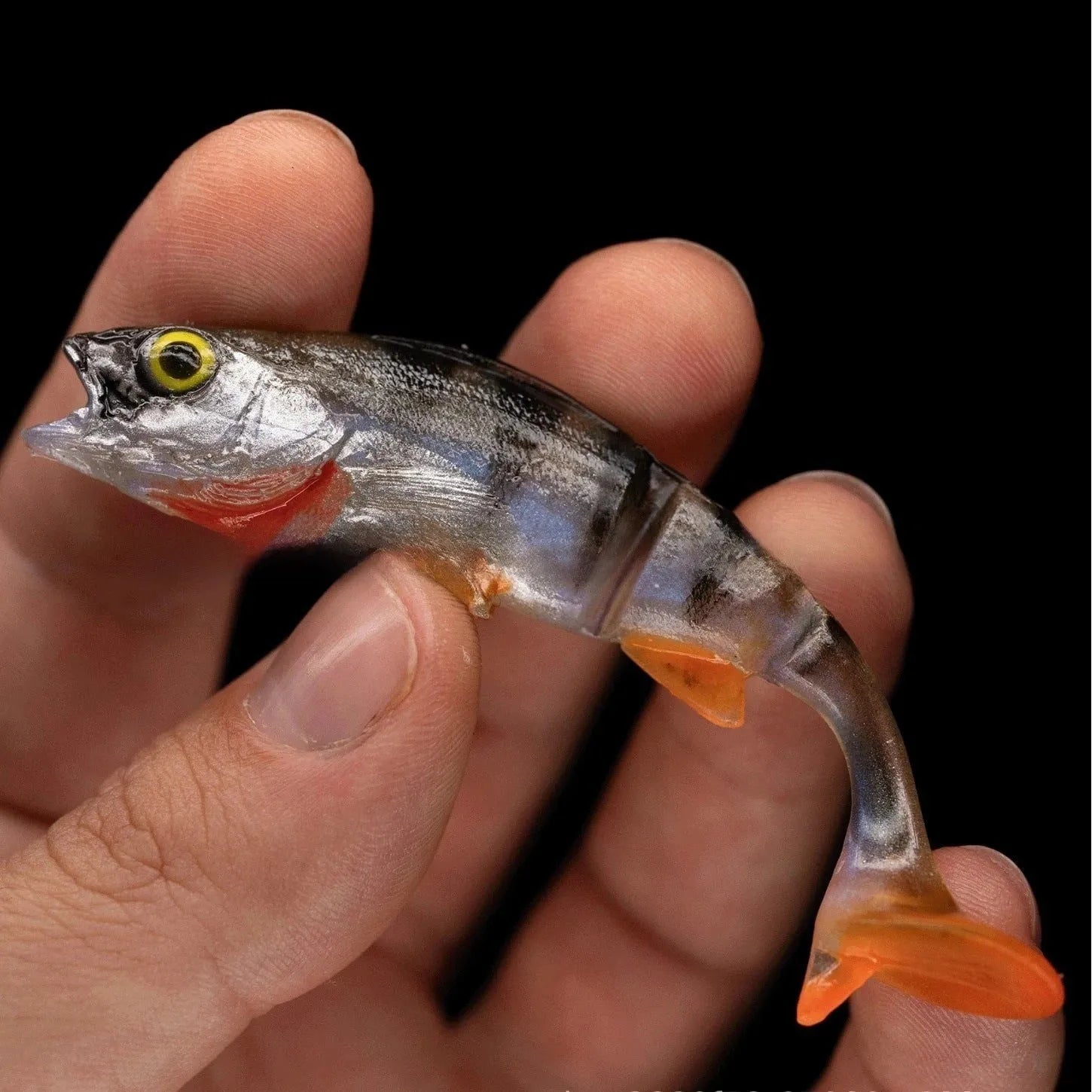 Soft T-tail fishing lure with realistic fish colour pattern for freshwater and saltwater fishing