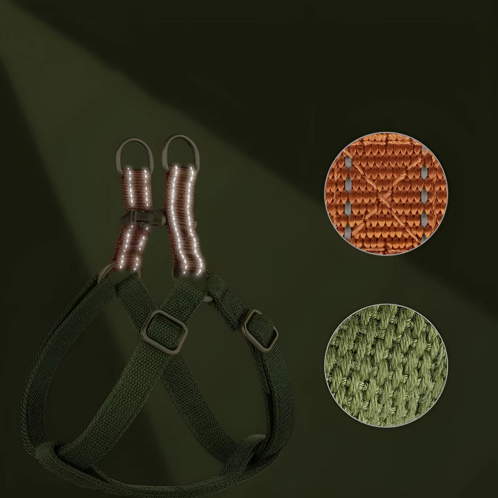 Brown vest style dog leash with alloy fastener shown on small dog