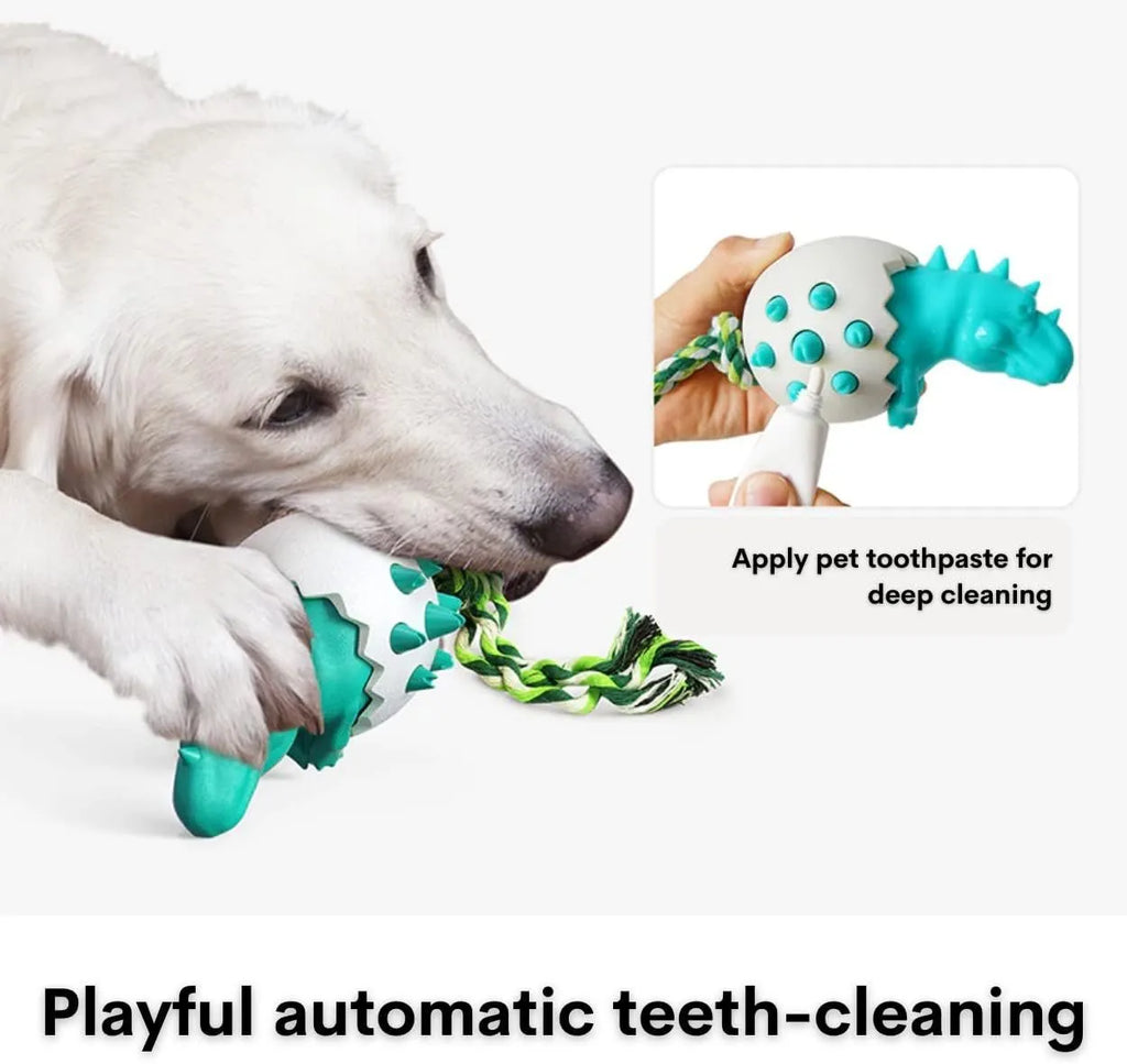 Blue dinosaur-shaped dog chew toy with rubber texture, rope tail, and dental cleaning nubs