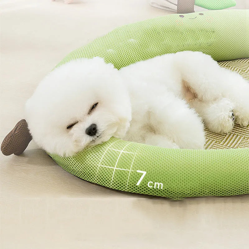 Green fruit backrest pet nest mat for dogs and cats with raised edge border in large size.
