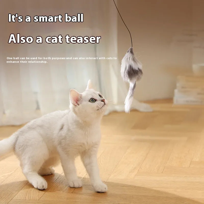 Automatic cat teasing ball toy with plush mouse attachment in blue orange and dark grey colour options