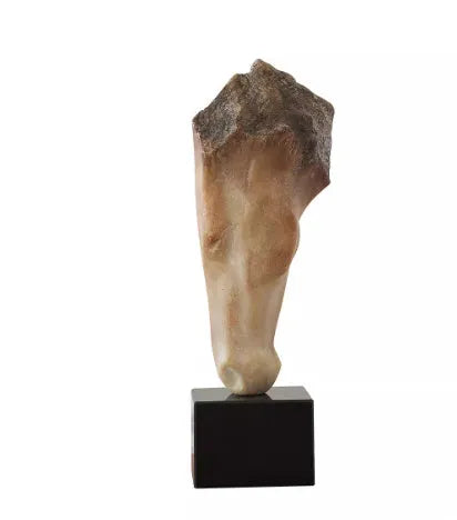 French retro abstract horse head desktop sculpture ornament with carved finish, 50cm tall.