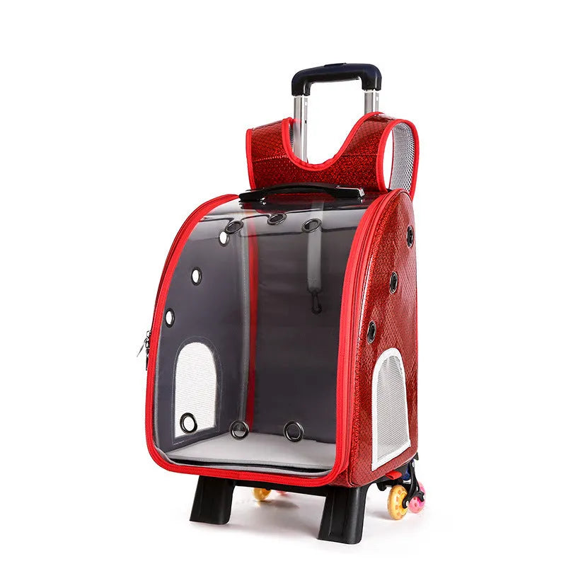Transparent pet trolley shoulder bag with folding frame for small dogs and cats