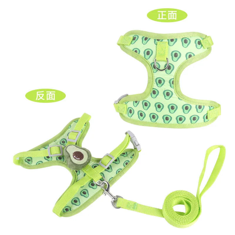 Small dog wearing a green avocado-coloured vest harness with a reflective chest strap and attached lead.