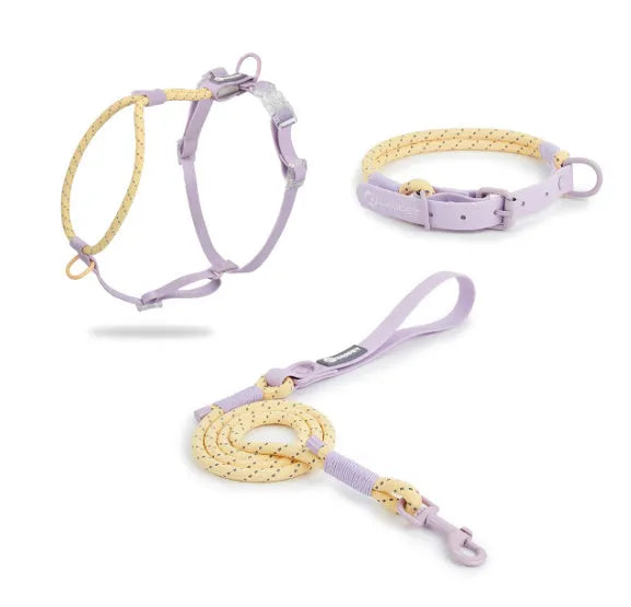 Dark Red Purple Yellow PVC dog hand holding rope leash showing 120cm length.