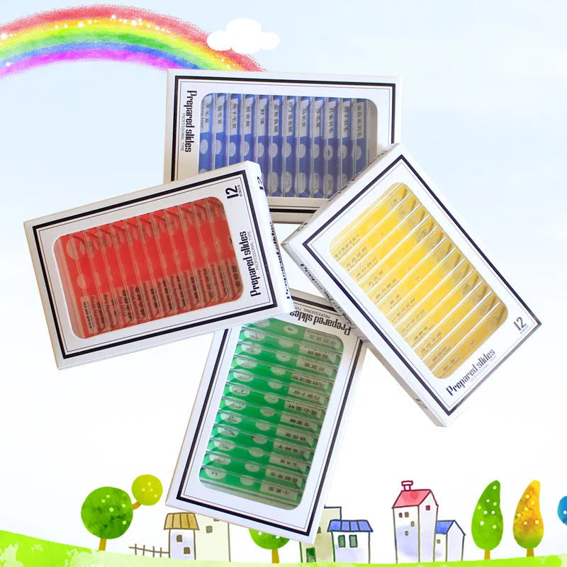 48 plastic microscope slides with biological specimens in red, green, yellow, and blue colour-coded boxes