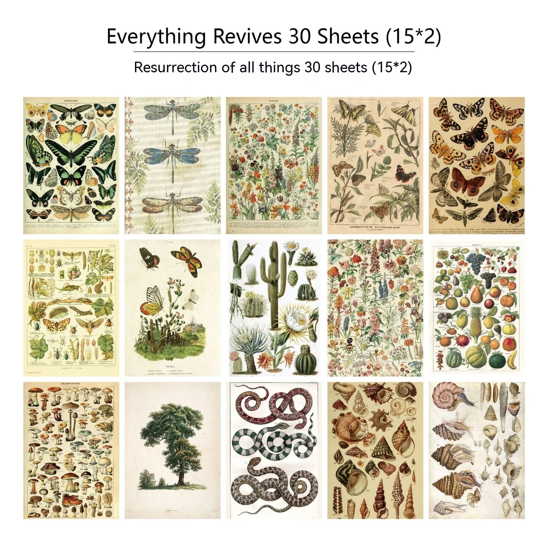 30-piece retro scrapbook paper set showing floral, botanical, musical, and handwritten letter designs for diary decoration