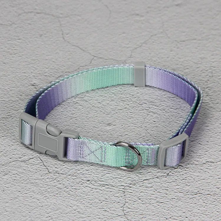 Nylon dog leash and collar set in gradient colours of pink and blue for small or medium breeds