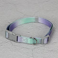 Nylon dog leash and collar set in gradient colours of pink and blue for small or medium breeds